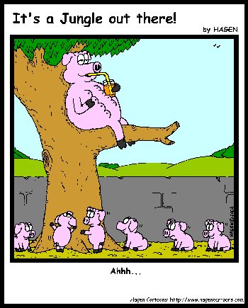 Cartoon, Pig