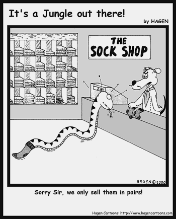 Socks