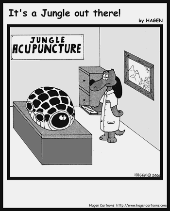 Accupuncture