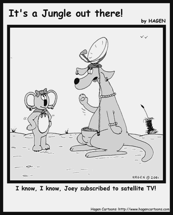 Satellite TV