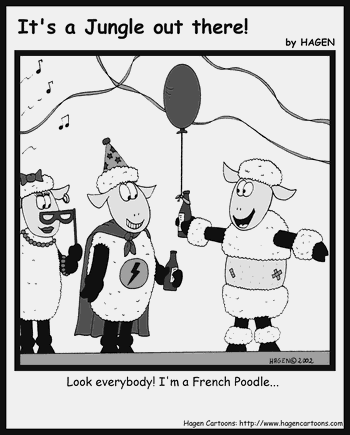 French Poodle