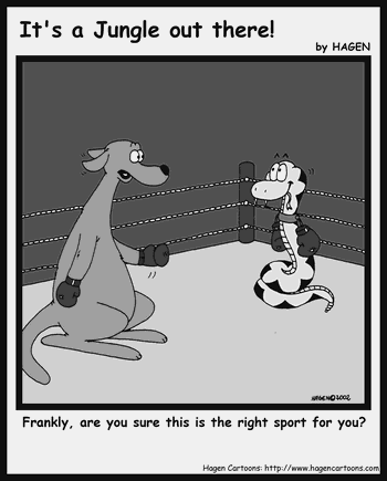 Cartoon, Kangaroo, Snake, Boxing