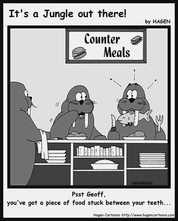 Cartoon, Walrus, Food