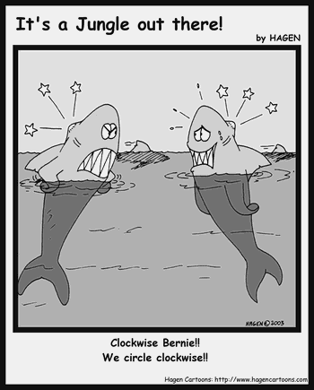 Cartoon, Shark, Circling