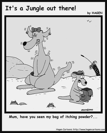 Cartoon, Kangaroo, Itching