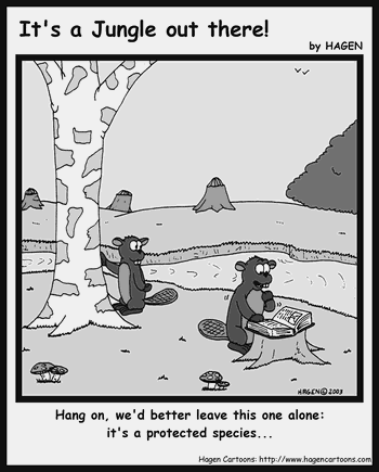 Cartoon, Beaver, Tree, Protected