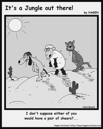 Cartoon, Sheep, Desert