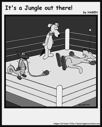 Cartoon, Chameleon, Kangaroo, Boxing