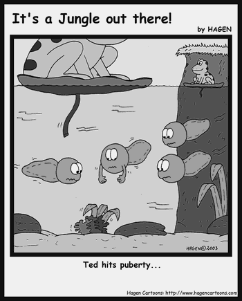 Cartoon, Tadpole, Puberty