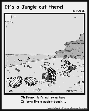 Cartoon, Tortoise, Turtle, Beach