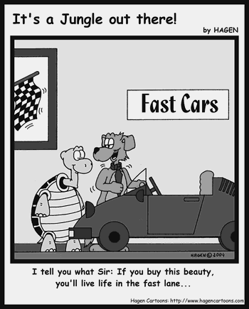 Cartoon, Tortoise, Car