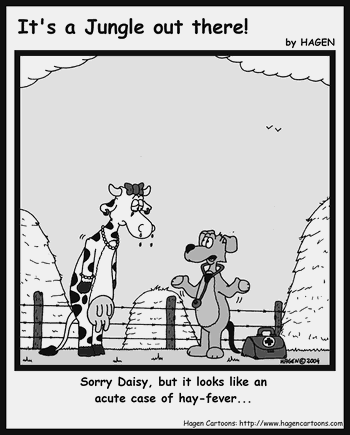 Cartoon, Cow, Hay, Fever