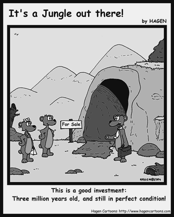 Cartoon, Bear, Cave, Real-Estate