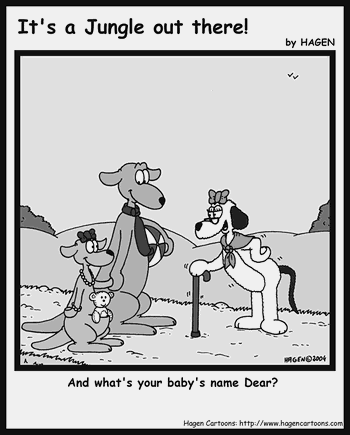 Cartoon, Kangarro, Baby