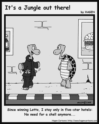 Cartoon, Tortoise, Hotel, Lotto, Shell