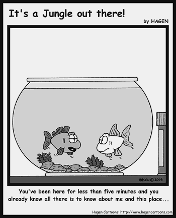 Cartoon, Fish, Bowl, Bored