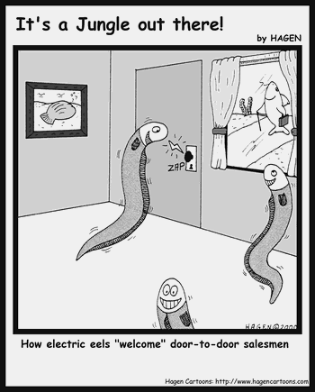 Electric Eels